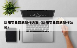 单县沈阳专业网站制作方案（沈阳专业网站制作公司）